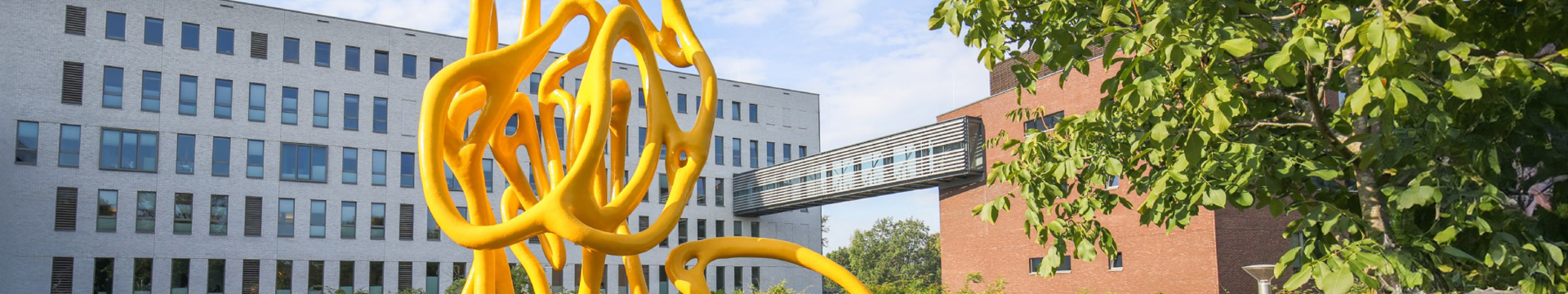 Meander Medisch Centrum